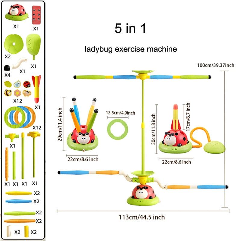 Ladybug 5-in-1 Play & Learn Toy